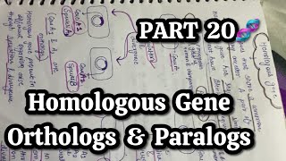 PART 20🧬 Homologous gene  Orthologs amp paralogs [upl. by Nilyram]