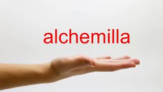 How to Pronounce alchemilla  American English [upl. by Gurevich]