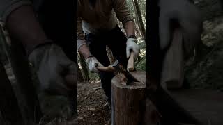 shorts bushcraft campfire campinglive camping survival short shortvideo [upl. by Arbrab]