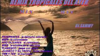 REMIX TROPICALES DEL AYER MIX DJ SAMMY [upl. by Brindle]