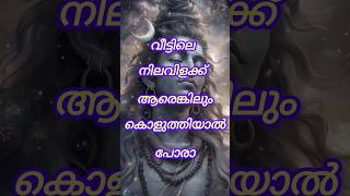 വീട്ടിലെ നിലവിളക്ക് ആരെങ്കിലും കൊളുത്തിയാൽ പോരാ shortsfeed shorts astrology [upl. by Rosen]