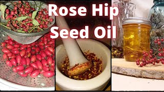 How to Make Rose Hip Seed Oil  DIY RoseHip Oil  Foraging Rose Hips  Rose Hip Recipe  Rose Hips [upl. by Engeddi]