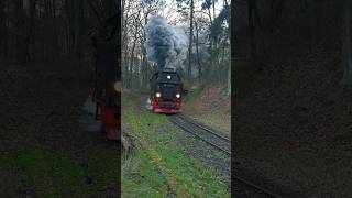 HSB Harzer Schmalspurbahn Selketalbahn 997237 [upl. by Luamaj483]