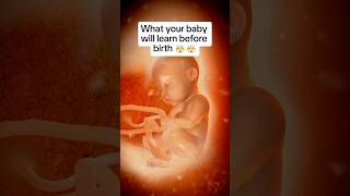 🤯🤯What Your Baby Already Knows By Birth [upl. by Nahama]