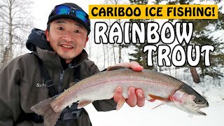 Solo Ice Fishing for Rainbow Trout in Cariboo BC  Fishing with Rod [upl. by Annoled]