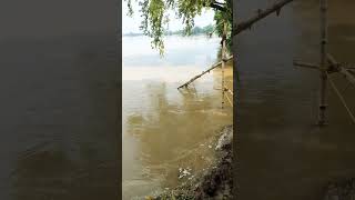 damodar the river flood fishing teknik  short viral [upl. by Rubetta]