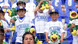 Primero de la serie Bravos vs Pericos [upl. by Dolley]