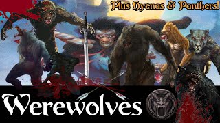 All Werewolves in Conan Lore Study and Theory Crafting [upl. by Weidman373]