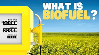 What Is Biofuel  Biomass and biofuels for kids [upl. by Careaga]