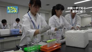 たうんニュース2017年7月「松山大学薬学部一日体験入学」 [upl. by Eartnoed103]