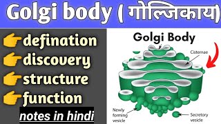 golgi body structure and function in hindi cell biology bsc biology [upl. by Leeke863]