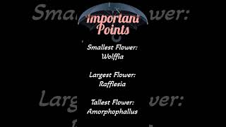 Wolffia  Rafflesia  Amorphophallus  Dr Amit Tak  NEET  smallest tallest largest flower BioEazy [upl. by Aleehs563]