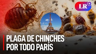 París SUFRE una PLAGA de CHINCHES en el transporte público cines y hospitales [upl. by Greenwood]