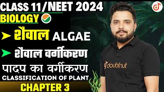 शैवाल Algae शैवाल वर्गीकरण  Plant Kingdom पादप जगत Chapter  3  Class 11NEET Biology Yogesh Sir✔ [upl. by Judye669]