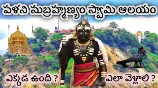 Palani subramanya swamy temple full tour in telugu  Palani temple  Palani palani muruganviral [upl. by Prissie]