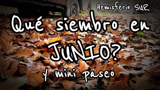 Qué sembrar en JUNIO 🌱 tareas de la huerta y mini paseo Calendario de Siembra 2024 [upl. by Hillari]