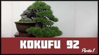 KOKUFU BONSAI TEN 92 part I TOKYO  JAPON 🇯🇵 NEJIKAN BONSAI 🇯🇵 [upl. by Akienat]