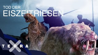 Fünf Fakten zum Ende der Megafauna  Terra X [upl. by Oirom]