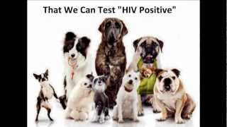 Doggone Fraud quotHIV Testsquot are Not quotHIVquot Tests [upl. by Annanhoj]