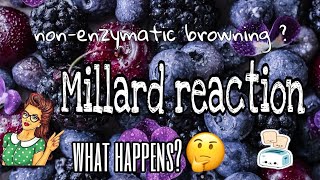 Millard reaction Nonenzymatic browning Food science🍒🔬 [upl. by Kcirddehs752]