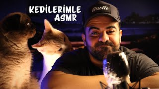 KEDİLERİMLE ASMR 🐈 😻 🐈‍⬛  KEDİ MUKBANG  ASMR [upl. by Atnom]