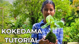 How to make a Kokedama  Moss Ball  StepbyStep Tutorial [upl. by Yatnuahs]