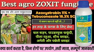 Zoxit fungicide best agro zoxit fungicide Azoxistrobin 11  Tebuconazole 183SC best fungicide [upl. by Ahkos]