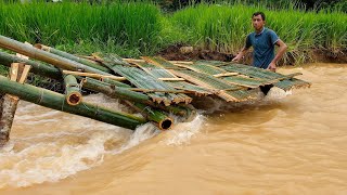 Complete Flood Control of Rice Fields and a Delicious Lunch  Farmer family [upl. by Ahsirtap]