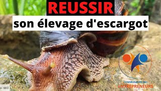 ELEVAGE DESCARGOTScomment réussir son élevage descargots [upl. by Lanod660]