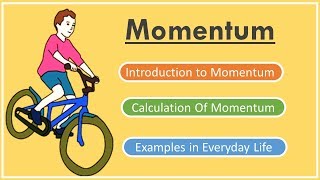 What is Momentum Physics [upl. by Weissman]