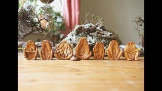 Avocado Carvings by Jan Campbell [upl. by Hollis474]