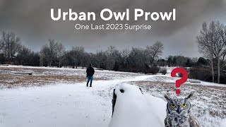 Colorado Urban Owl Prowl  One Last Surprise of 2023 [upl. by Corilla307]