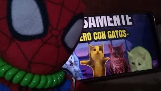 intensamente pero con gatosSPIDERFONSO2015YT reacciona a EmmayCatos [upl. by Suixela]