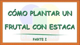 Como plantar frutales con estacas parte I [upl. by Nidya]