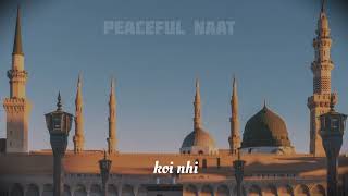 ay khatm e rasul makki madani slowed reverb lyrics naatsharif islamic videos NAATS WORLD [upl. by Asenej]