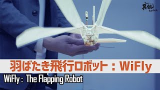 蝶のように自由に舞う、羽ばたき飛行ロボット「WiFly」 [upl. by Tommi]