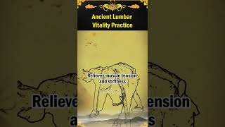 Ancient Lumbar Vitality Practice QualityOfLife FitnessRoutine HolisticHealth NaturalHealing [upl. by Delmar]