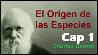 Origen de las Especies ─ Cap 1  La variación en estado doméstico [upl. by Ardekal]