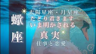 ♏️蠍座🌙遠くからのご縁 心の壁をのりこえる これまでの成果を試すときが来ました🌟しあわせになる力を引きだすタロットセラピー [upl. by Favian701]