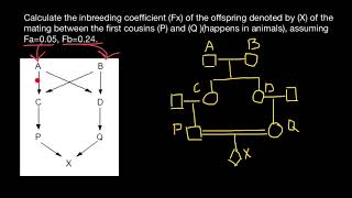 How to Calculate Inbreeding from Pedigrees [upl. by Hintze]