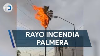 Rayo cae en palmera y provoca incendio [upl. by Omer168]