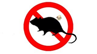 ▶️ Mouse amp Rat Ultra Sonic Deterrent Mice Ultrasonic Repellent 12 Hours 🌏 [upl. by Eirlav867]