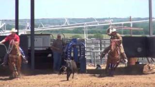 Speed Williams Team Roping quotReachingquot [upl. by Neyuq]