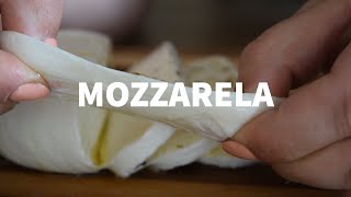 KAKO NAPRAVITI MOCARELU ZA 30 MINUTA  HOW TO MAKE FRESH MOZZARELLA IN 30 MINUTES [upl. by Coppinger]