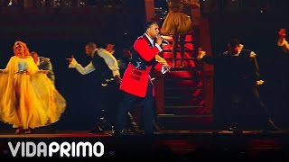 DON OMAR POBRE DIABLA HECHO EN PUERTO RICO [upl. by Cogn616]