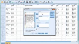 SPSS Tutorial 6  Introducing Crosstabulation [upl. by Glimp]