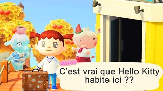 100 SECRETS SUR ANIMAL CROSSING NEW HORIZONS  😱 [upl. by Evetta]