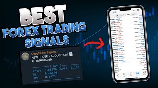 The BEST Forex Signal Channel Ive Tested 2200 April  With Payout [upl. by Thorvald198]