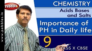 Importance of PH in Daily life  Acids Bases and Salts  Chemistry  CBSE Class 10 Science [upl. by Elleira481]