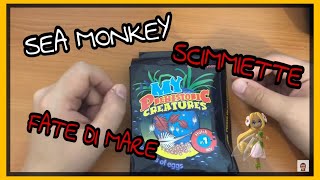 Sea Monkey  Sono arrivate le fate di mare o scimmiette UNBOXING 😍🧚🏻‍♀️ [upl. by Hake724]